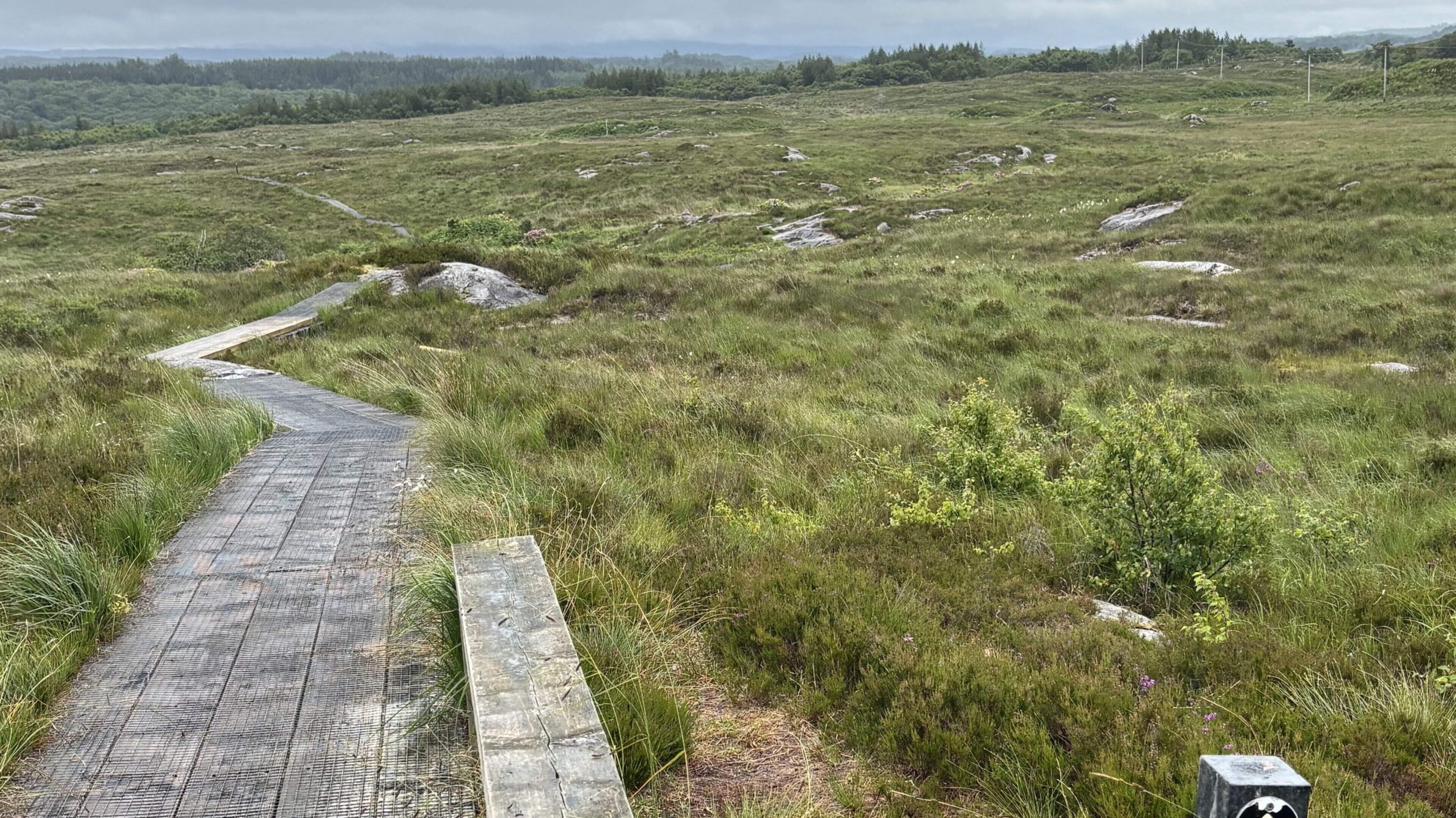 From Slish Wood to Lough Gill, final checks under way for Sligo Camino